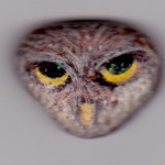 Adina's Owl