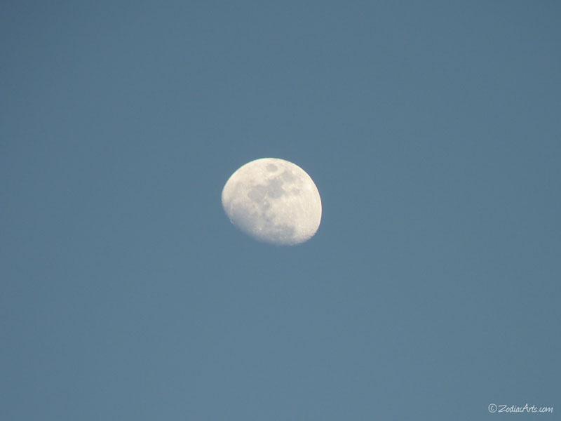 P1260545-Moon4
