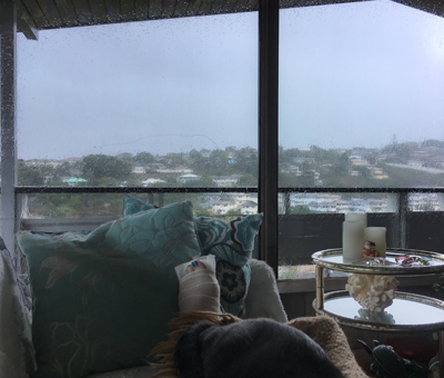 Rainy Day January 21, 2017 Halawa Heights, Hawaii