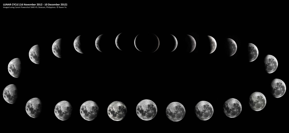 Lunar Cycles The 8 Phases Zodiac Arts
